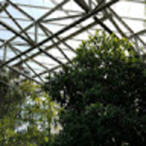 Meet your Posher, Mckayla - Picture 1 of 1